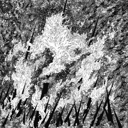 Vilkacis / Turia "Same" Split LP