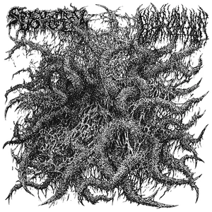 Spectral Voice / Blood Incantation - "Same" Split EP